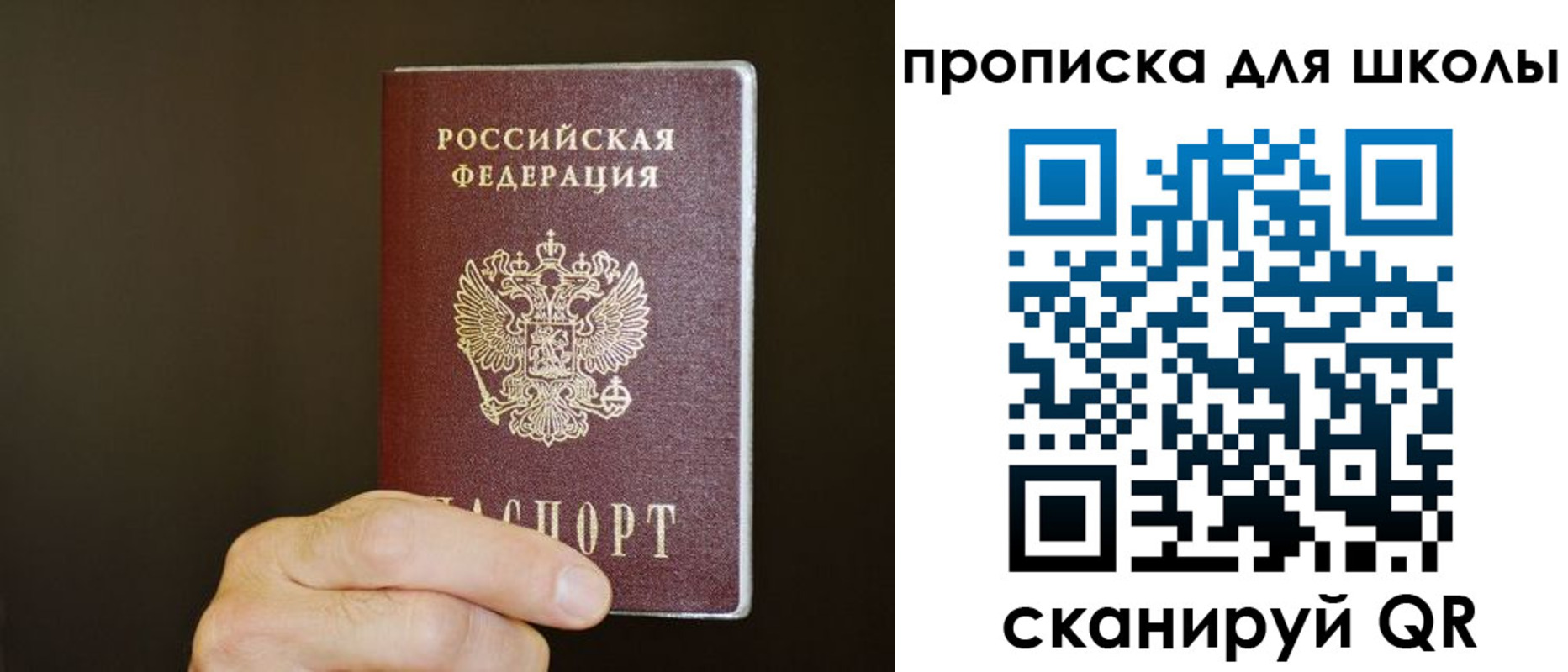 временная регистрация недорого в Долгопрудном